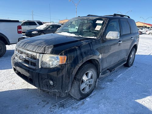 2010 FORD ESCAPE - Thumbnail 1